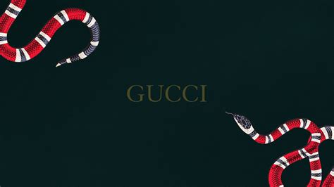 why does gucci use snake